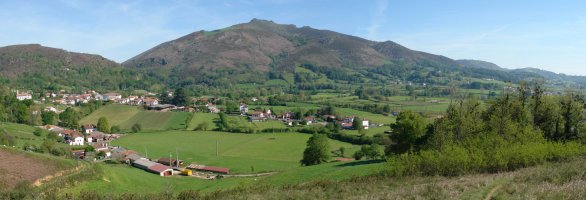 Arrosa aldetik ikusita