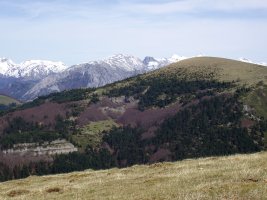 Kakueta Txorrotxarriatik