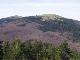 Txorrotxarria, ipar isurialdea