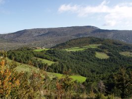 Espotzen aldiriak eta Larrogain