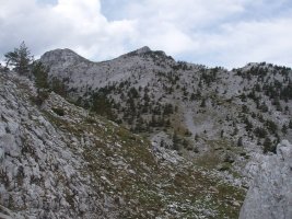 Ezkaurre-txikiko tontor bikoitza