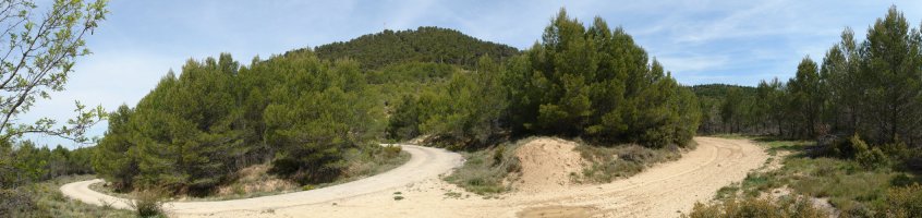 Hegoaldeko isurialdetik, errepidearen bihurgune batetik