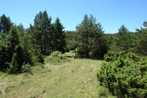 Gainaldeko bidea, tontorretik gertu