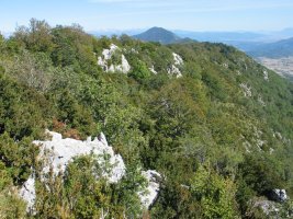 Ekialdeko gandorraren ikuspegia