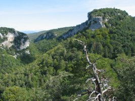 Benasako arroilaren goiko aldea