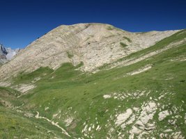 Chipeta Baxo tontorra