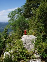 Tx Nankik jarritako buzoia