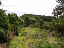 Mendurroko gainaldea