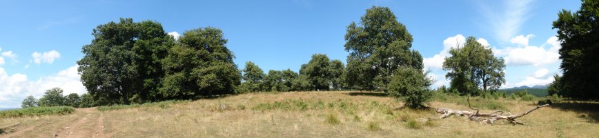 Arañotz eta Mendigaina arteko bizkarreko pasarte bat