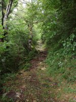 Orbarako bide zoragarria