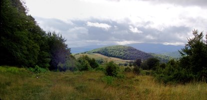 Mutria Latxagako bidetik