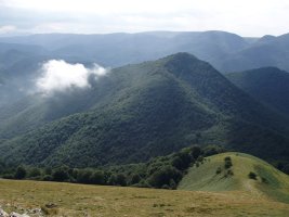 Mozoloandi Mendizarretik