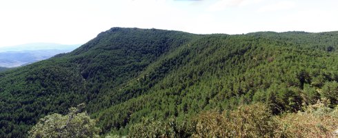 Orlagatu Iburtu haitzetik