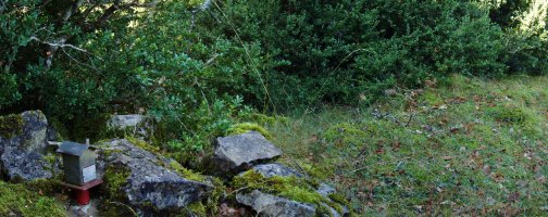 Mendigainako gailurra