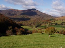 Aizkolegi Orabideatik