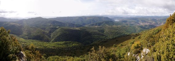 Larekitik hegoalderantz