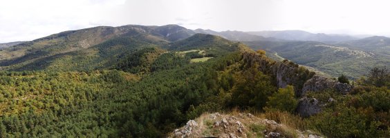 Larrekiko gandorra ekialderantz