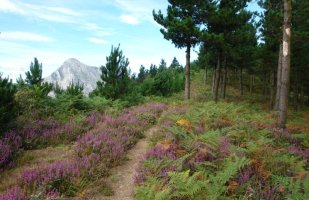 Besaide aldeko bizkarreko bidea