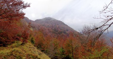 Mozoloandi Morateko lepotik