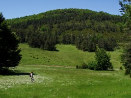 Araxamendi iparraldetik, Arlazuriako larreetatik