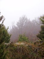 Menditxusiko gailurra