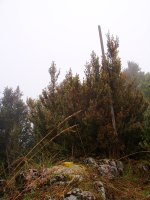 Menditxusiko gailurra