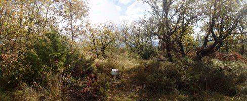 Julio mendiko gailurra