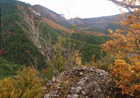 Txitxurrondoko gailurra