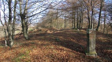 Irumugetako mugarria eta gaina