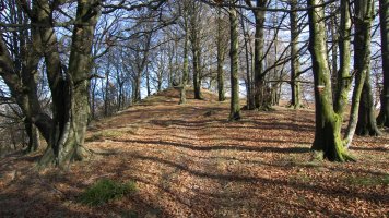 GR12 bidea Irumugeta eta Txaradigorri artean