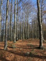 Txaradigorrira gerturatzen Mendebaldeko bizkarretik