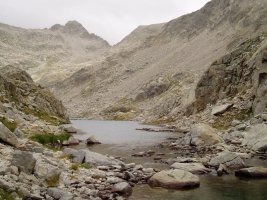 Ballibiernako beheko aintzira