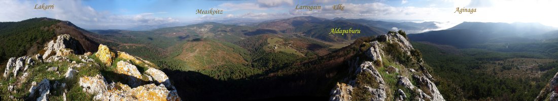 Panorama gailurretik