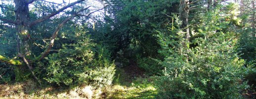 Puno (Ollokorri)ko gailur ezkutua