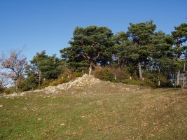 Maliturri (Kozkorro)ko gailurra