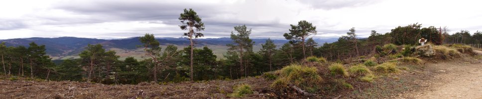 Tangorriko gailur desitxuratua