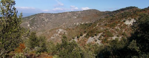 Ugarra hego-mendebaldetik