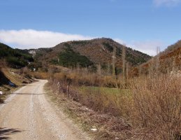 Betutagaña Ibiltzietako bidetik