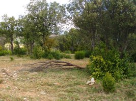 Peñaskako gailurra (819m)