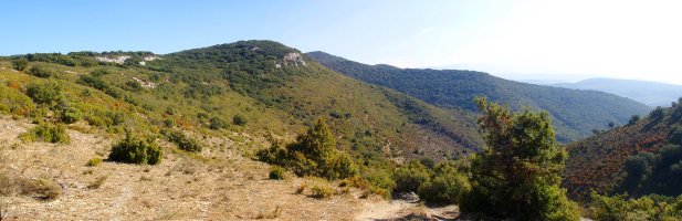 Boluntza-Petrina mendebaldeko lepotik 