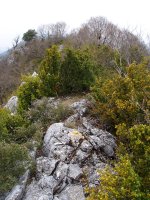 Leziñerako gailurra