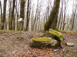 Begañako txartelontzia