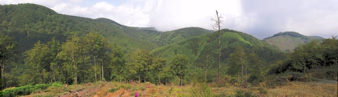 Ikuspegia Lertzako ipar-mendebaldeko hegietatik