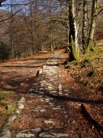 Eltzaburuko galtzadaren arrastoak