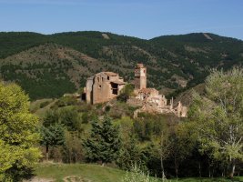 Turruncun herri mortua