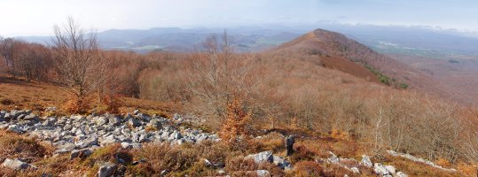 Apordoki Urdanatzetik