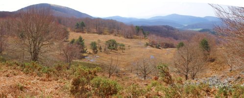 Zingira honi legokioke Apordoki izena ("Apo-ordoki")