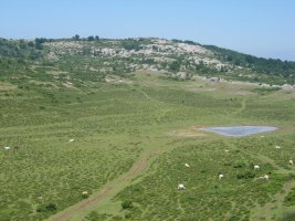 Repico eta Navazuako putzua