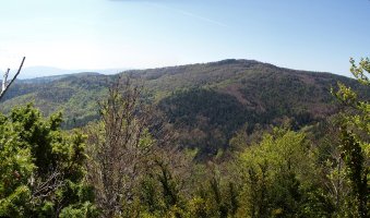 Borrokoxko Arbaxamenditik