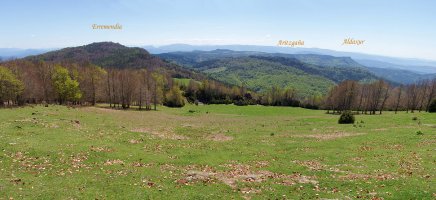 Borrokoxkoko gainaldetiko ikuspegia